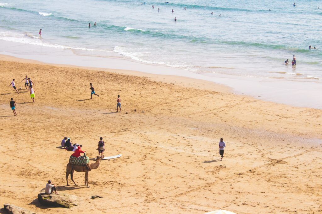 Best Time to Visit Morocco 2024 - Travel Tips people and camel at beach during daytime